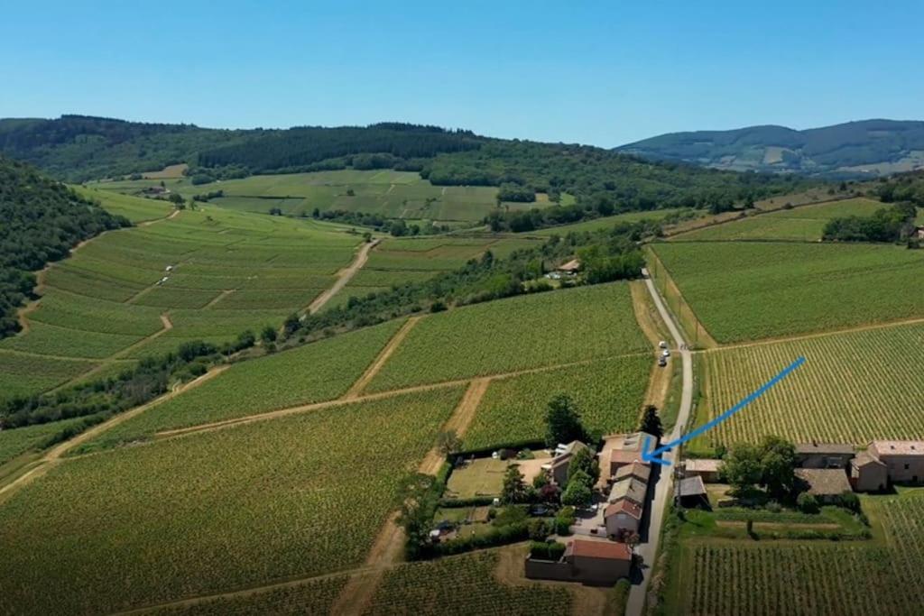 Villa Le Tinailler Grand Standing Au Coeur Des Vignes Prissé Exterior foto