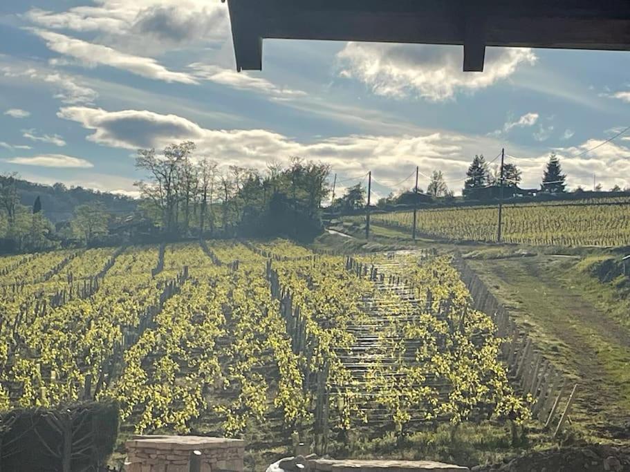 Villa Le Tinailler Grand Standing Au Coeur Des Vignes Prissé Exterior foto